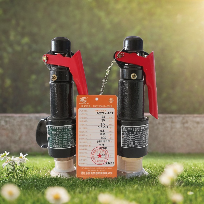 Зhejiang Fuso Gas Storage Safe Safety Valve A27W-16T Steam Boiler Rolling Valve Spring Thread Manual DN20