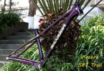 2022 2022 TAIWAN GLASSES SNAKE HARD RACK AM 587 BARREL SHAFT BOOST 148 * 12 29 inch