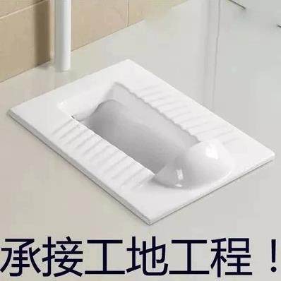 Squat toilet with bend and baffle squat pit