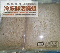 Frozen maggot Frozen grain worm Frozen maggot fish shrimp crab nutritional supplement bait