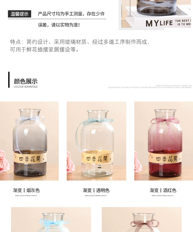 Sáng tạo châu Âu gradient thủy tinh bình thủy canh cây xanh lily lily sao bình hoa phòng khách cắm hoa - Vase / Bồn hoa & Kệ