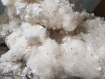 Silk Cocoon Shavings, Silk Cocoon Scraps, Silk Cocoon By-Products, Silk Soap Raw Materials, Pillow Filling Material