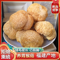 Hericium Erinaceus dried goods new 250g Gutian Farmhouse No fumigation sulfur nourishing stomach monkey mushroom head non-wild dry head monkey nutrition fungus