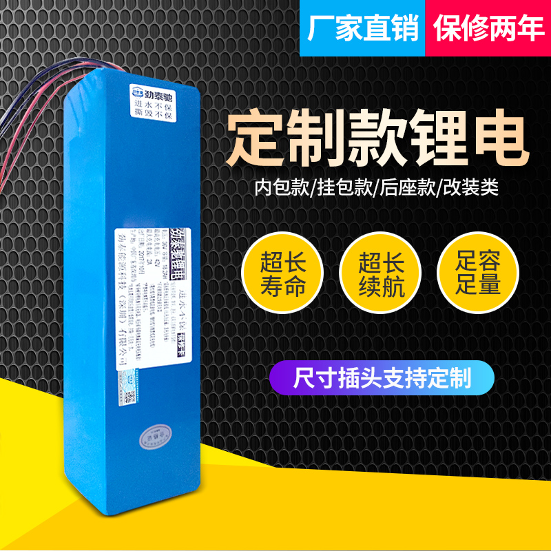 Custom 24V36V48V electric vehicle lithium battery 60v Silver fish Haiba universal custom 10ah12ah15ah20ah