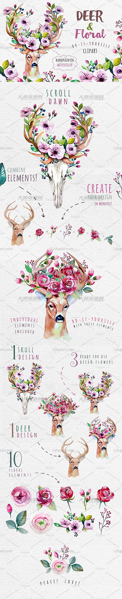 17张高清透明的北欧风鹿/花卉PNG图片：Deer, skull & floral
