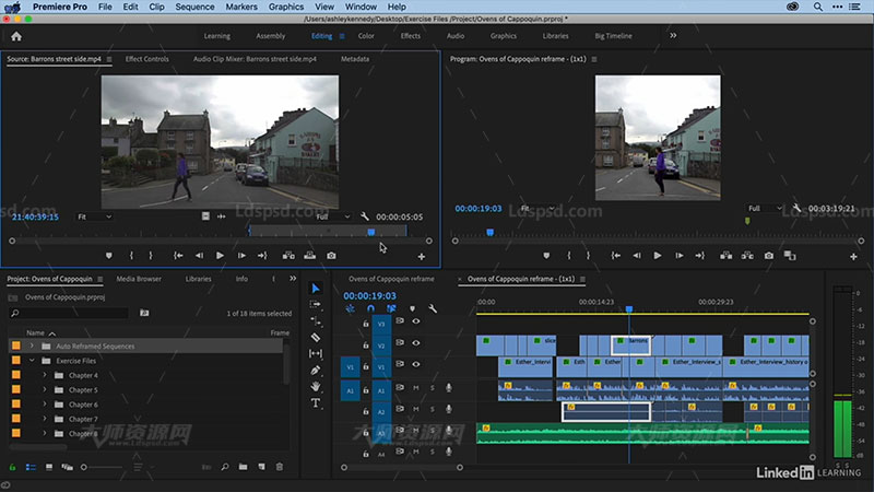 Premiere Pro 2020 Essential Training.jpg