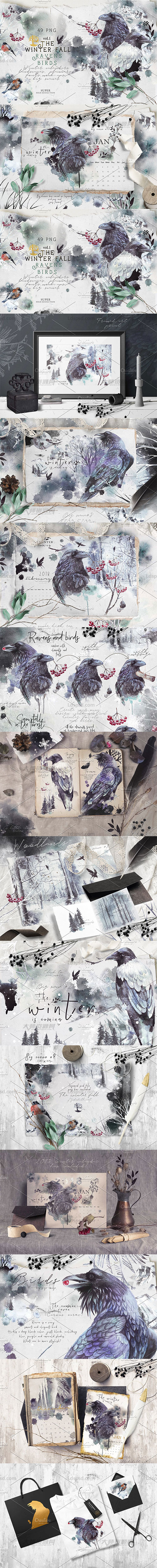49张高清透明的北欧风水墨花鸟PNG图片：Ravens & birds vol.1