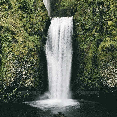  Image Animated Photoshop Action12.gif