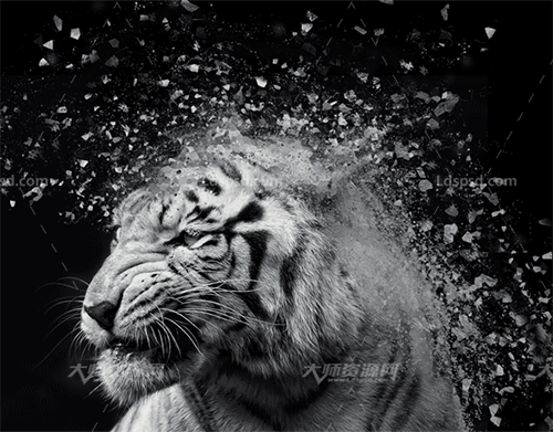  Gif Animated Shatter Photoshop Action2.gif