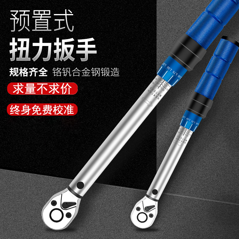 Torque Wrench with Preset Adjustable Torque for Road Bikes, Car Maintenance, Spark Plugs, High-Precision Tool Set