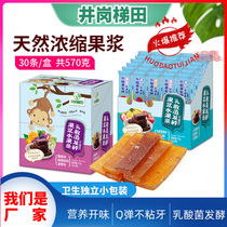 Jinggang Terraces Fruit Bars Baby Snacks Lactic Acid Bacteria Jam Fruit Bark Childrens Food Supplementary Food 19g*30 Sticks