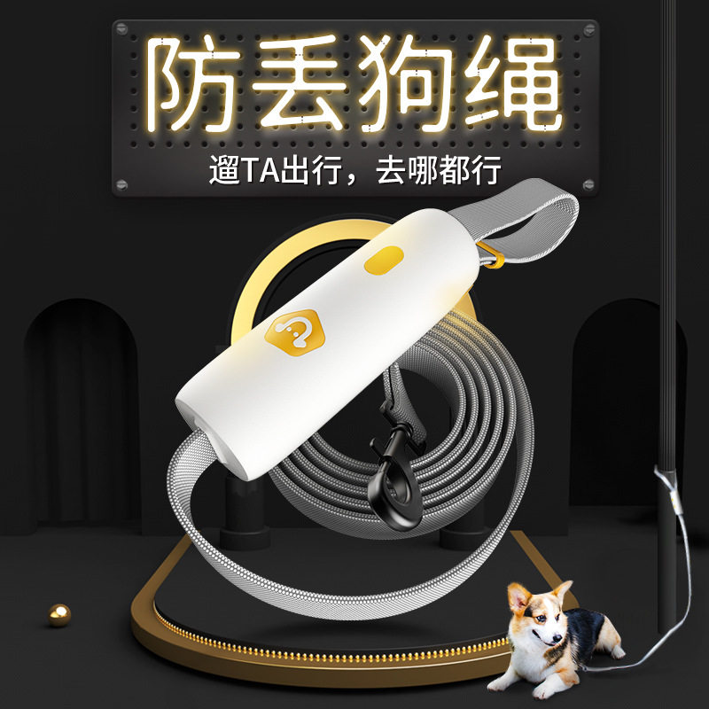 Pet dog leash walking dog leash dog chain Teddy Border Shepherd Husky Corgi Labrador leash dog leash