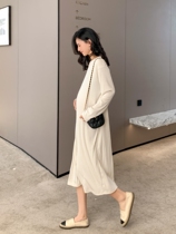 Japanese pregnant women dress spring and autumn models elegant and loose size thin pregnant women's skirt tide mom autumn clothes bottom shirt