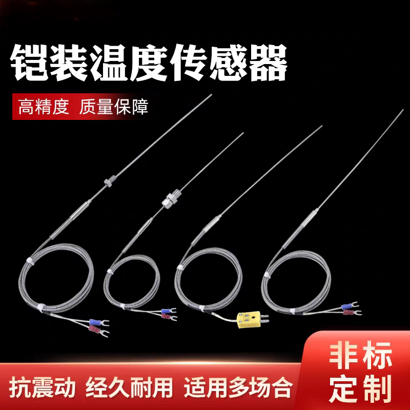 K型铠装热电偶WRNK-191 E型J型热电偶 探针热电偶 温度传感器
