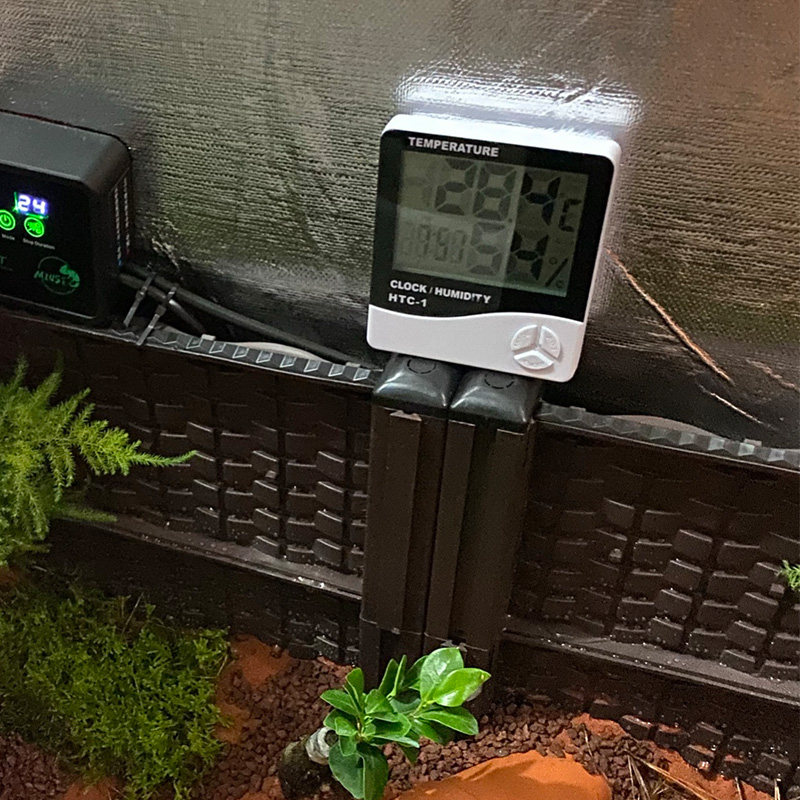 Ambient temperature and humidity meter Yellow Turtle Rearing Box Climbing for Amber Closed Shell Turtle Breeding Box Temperature Humidity Display Thermometry-Taobao