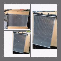 BEIA GENGHT D20 D50 tank assembly of gentleman bao water tank radiator assembly plant