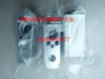 BAIC WIVAN M20 306 307 205 Air conditioning front steam top evaporator core expansion valve