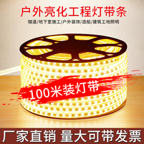 100 m mounted led light strip whole roll 220V outdoor waterproof Decoration Engineering lighting door sign outdoor light strip