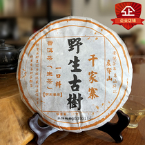 South China Tea Year 2019 Spring Tea Ailao Mountain Series Qianjiazhai Ancient Tree Tea 357G Raw Tea Mingqian Tea