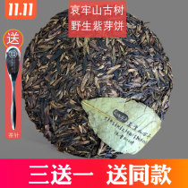 In 2018 Ailao Mountain Wild Puer tea purple bud cake sprouts fat and plump with bitter raw tea multi-color tea three get one
