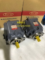 Japan Fengxing oil pump HPP-VD2V-F31A5-A TOOYOKI piston pump HPP-VD2V-F31A3-A