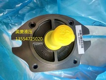 VOITH VOITH oil pump IPVP6-100-101 IPVP6-80-101 IPVP6-125-101
