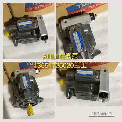 Taiwan oil research plunger oil pump ARL1-6-FR01A-10 ARL1-8-FR01A-10 Spot