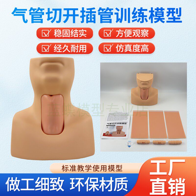 环甲膜穿刺及气管切开插管训练模型环状软骨气管切开术训练教学