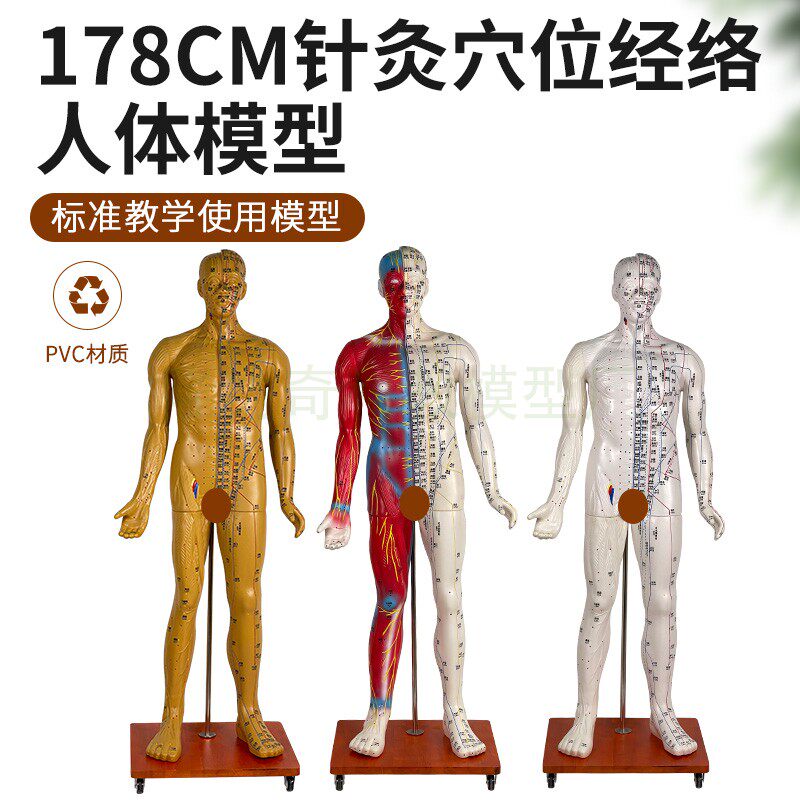 170CM人体针灸模型针灸铜人模型178cm中医十四经络穴位铜人模型