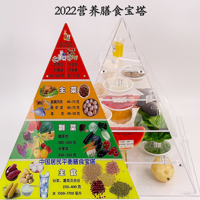 2022中国居民平衡营养指导膳食宝塔模型仿真食物金字塔交换份模型