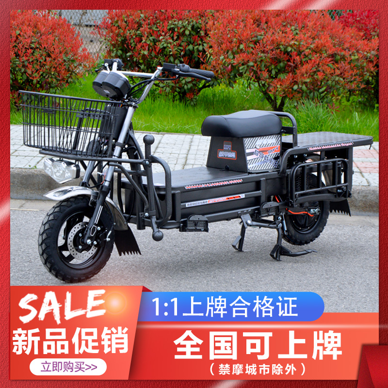 Wang Electric Car pull takeaway battery cars long running king 72V60V two wheel hegemon hectares pedal electric momentum