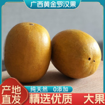 Guangxi authentic Guilin Yongfu golden Luo Han Guo dried fruit tea low temperature dehydration non-lyophilized independent packaging