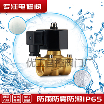 Outdoor waterproof all-copper electromagnetic control electric valve switch water valve air valve 220v24v12v4 points 6 points 1 inch and half 2 inches