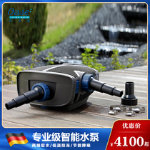 Eurasian seer submersible pump Garden pond filter pump Outdoor rockery waterfall pumping drainage pump Fish pond circulating water pump
