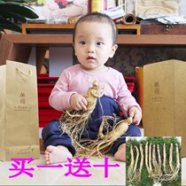 (Extra large fresh ginseng 2 200g) ginseng with soil fresh ginseng Changbai Mountain soak wine White ginseng buy one get ten