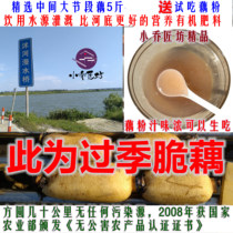 Xiaoqiao Craftsmans Beauty Red Crispy Lotus Root Fragrant Drinking Water Source No Pollution