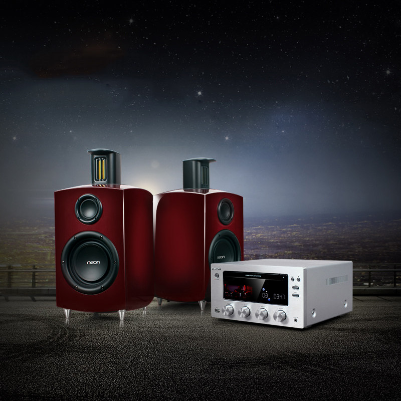 neon Liyan 980 Sound Fever Vacuum Tube Front Biliary Stone Belt Alt Baking Varnish Home Tridivided Sound Box