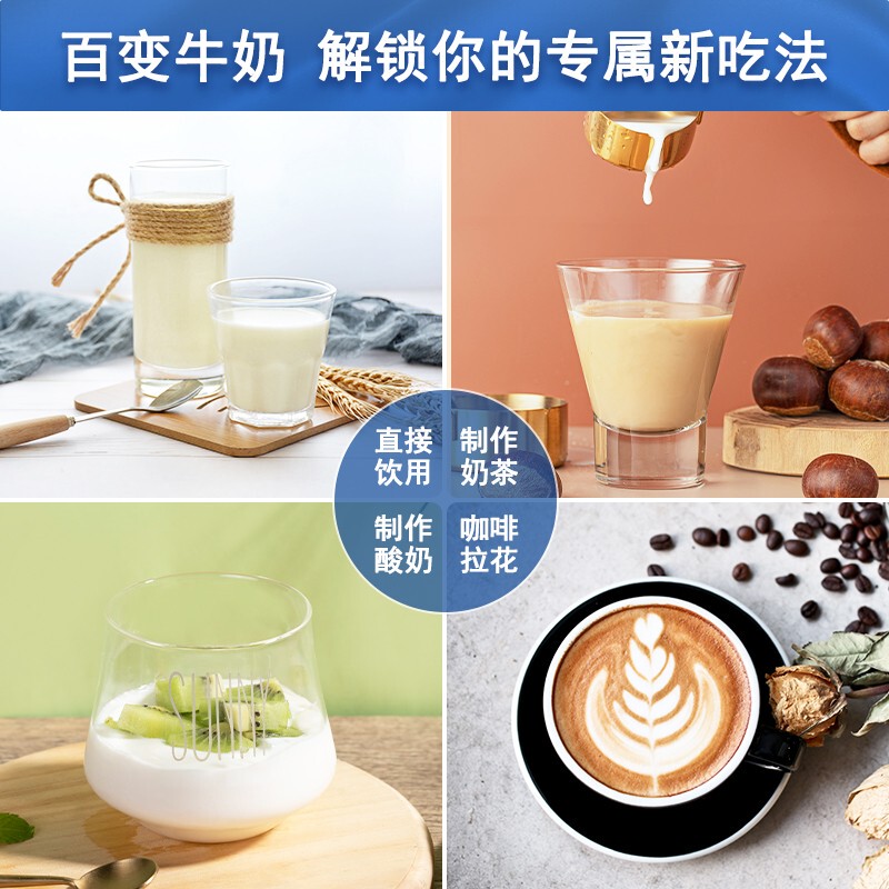 Yili Whole Milk 1L*12 Boxes for Breakfast, Coffee, Yogurt, Baking, Milk Tea Shop, Catering, Commercial Use, Whole Pack