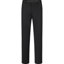 (Rhinoceros pleat technology) Qipai trousers mens business formal wear 2024 new autumn style including wool straight trousers
