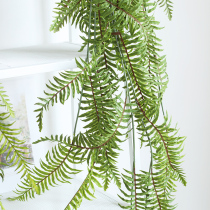 Wind reciting simulation fresh and green plant wall-hanging wall hanging simulation Persian grass fern leaf soft-fit-like room decoration
