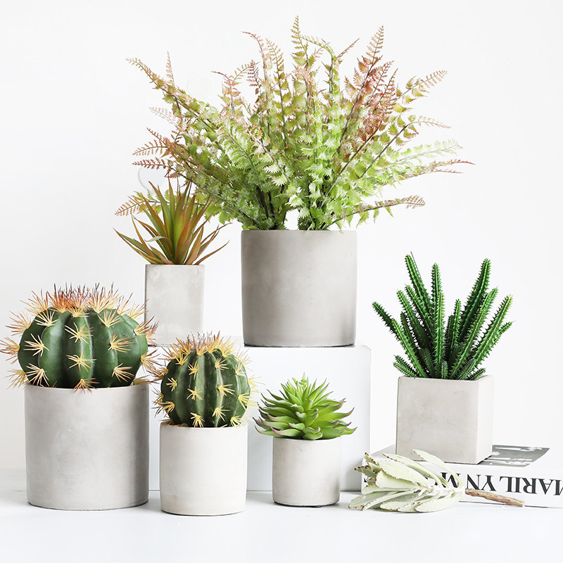 Wind Yin Nordic cement flower pot plant simulation fleshy green plant small flower decoration set soft desktop