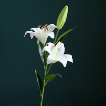 Lily Flower Feel Simulation Bouquet Living-room Large Furnishing Table Decoration Xuanguan Decorative Florin Silk Floor Golden Vase