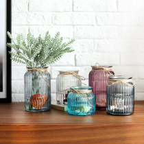 Fengyin glass vase office hydroponic plant home ornaments desktop modern simple flower arrangement