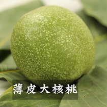 2021 new walnuts fresh to green skin walnuts Fenyang thin skin young walnuts wet walnuts fresh pregnant women 5 pounds