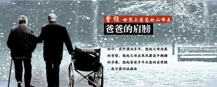 Sous-vêtement thermo Moyen-âge en coton - Ref 752108 Image 110