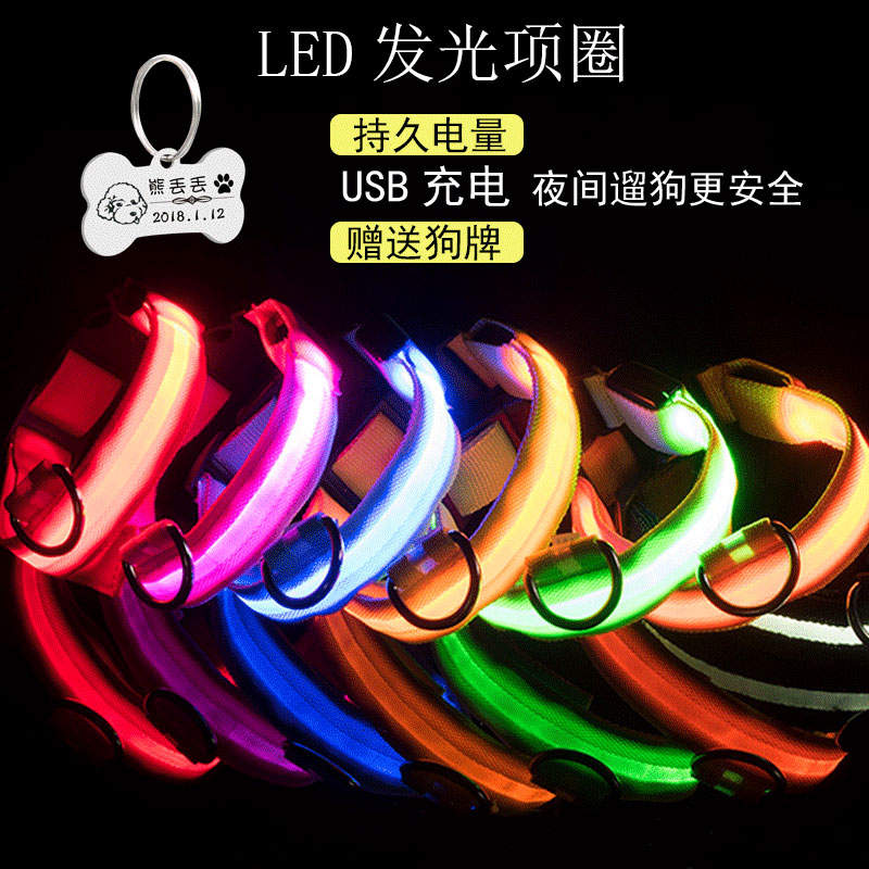 Dog lettering luminous collar LED night walking dog luminous small and medium dog collar USB night warning night light