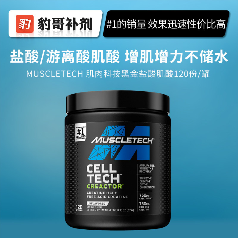 Muscle Technology MuskleTech Platinum Pure Creatine Hydrochloride Powder Increases Fitness Explosive Endurance 120 servings