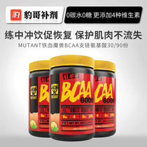 Leopard supplement MUTANT Iron Blood Warcraft Dengfeng BCAA muscle fitness creatine branched chain amino acid powder 30 copies
