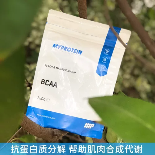 Леопардовый брат Панда Мипротеин BCAA разветвленная цепь аминокислотная приспособленность мышечная пропаганда, пропаганда, выздоровление