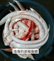 Fresh Hong Kong eel glue eel swim bladder boat fishing fresh eel glue confinement nourishing beauty 6 pack